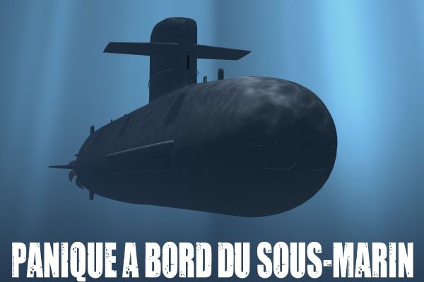 visuel-sous-marin6323F977-F5FD-802F-639C-D53877FA9EA6.jpg