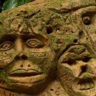 Amazone
